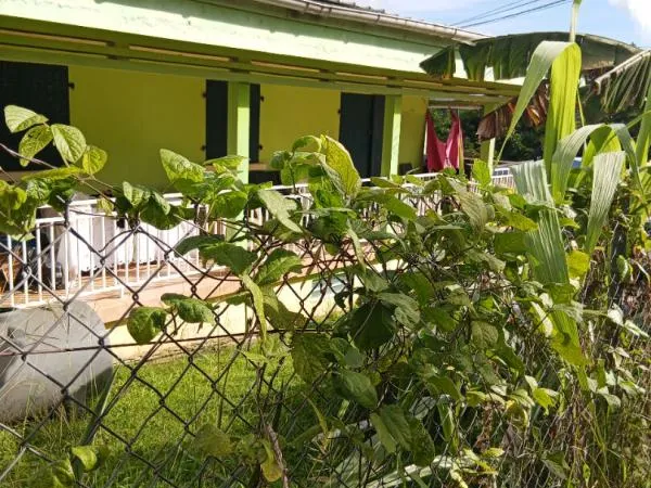Immeuble 8 pièce(s) 175m2 au lamentin