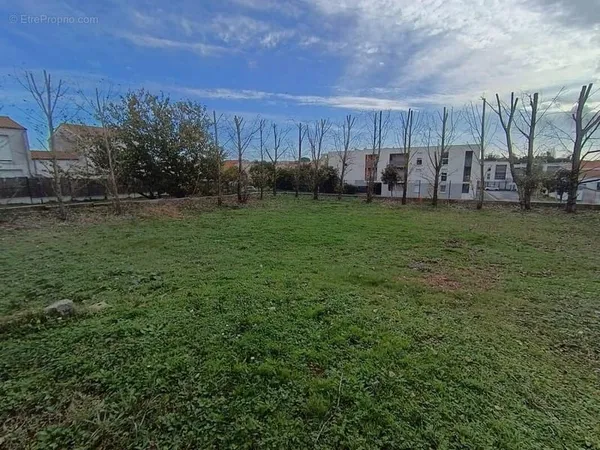 Terrain 564 m²