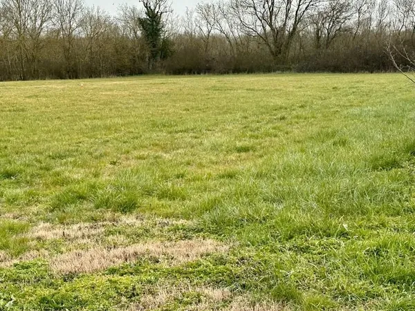 Terrain 966 m² Cire D Aunis