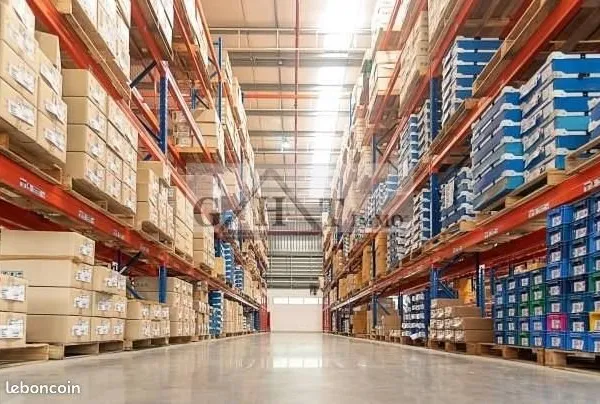 Local industriel 1 132 m²