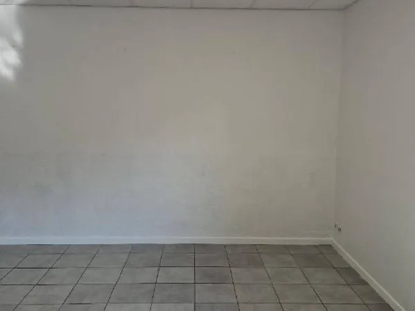 Local d'activité 387 m²