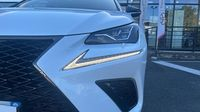 Lexus Nx 300h 4WD F SPORT Executive MM19 — photo 17