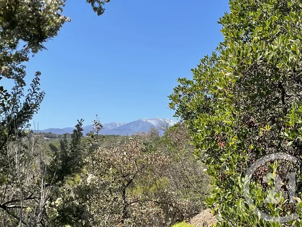 Terrain 13479 m²