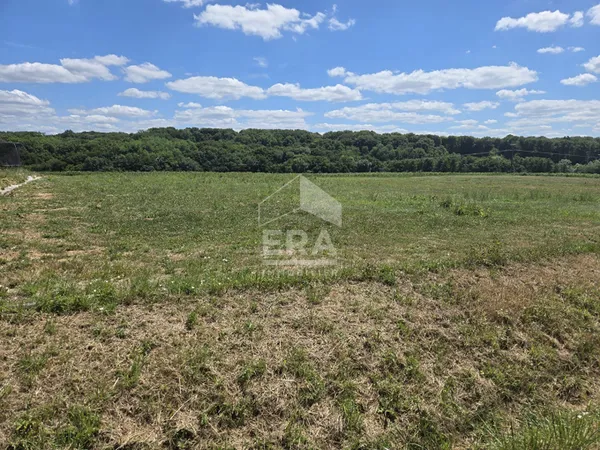Terrain 981 m²