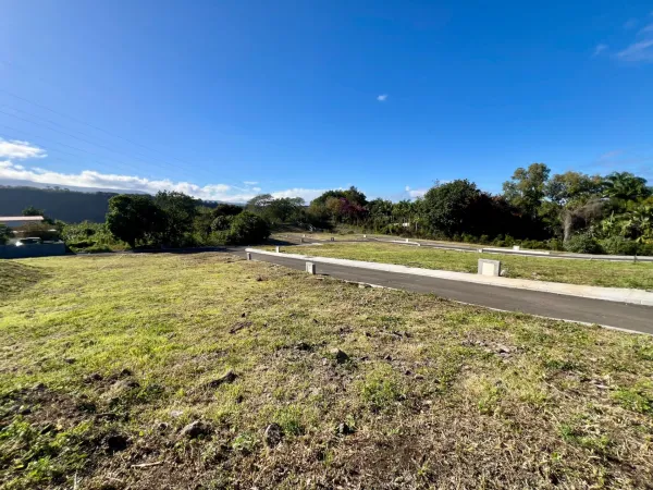 Terrain 253 m²