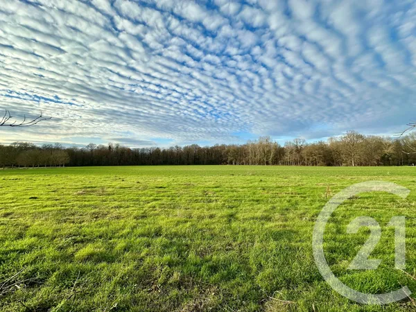 Terrain 362 m²
