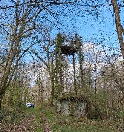 Parcelles de bois