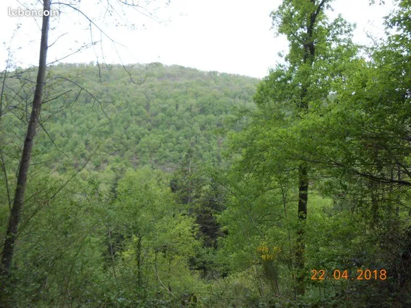 Terrain de loisirs