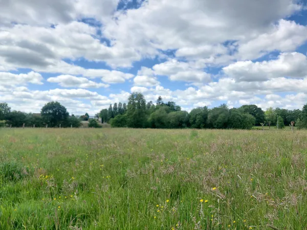 Terrain constuctible de 6520m² divisible en 2 lots