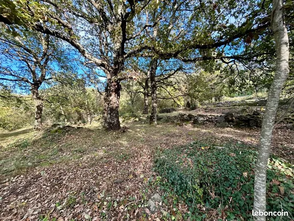 Terrain constructible 1482 m² en terrasses et arboré