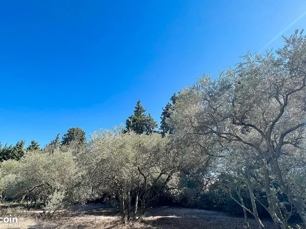 Terrain 428 m² JONQUERETTES
