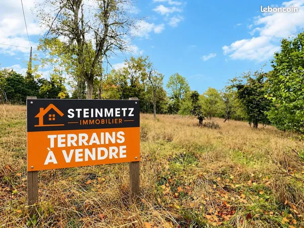 Terrain 741 m² Sarralbe