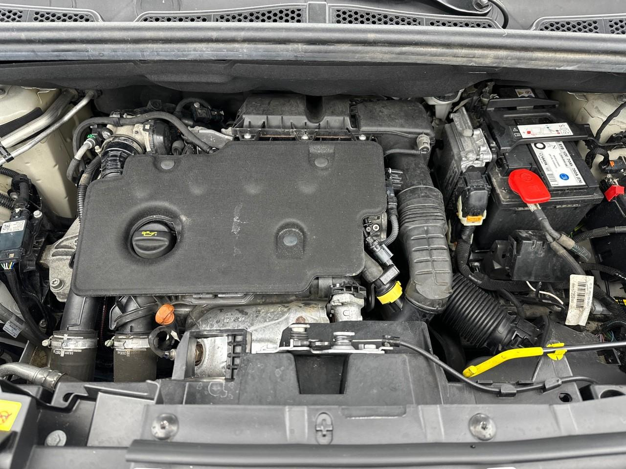 Citroën Berlingo van m 650 bluehdi 130 s&s eat8 — photo 13