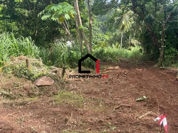 Terrain 3218 m² Sainte-Luce