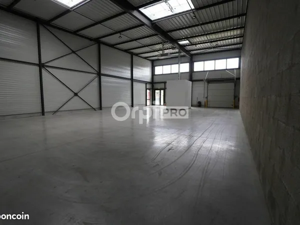 Local d'activité 253 m²