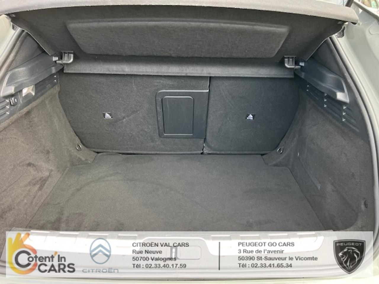 Ds Ds 4 bluehdi 130 rivoli auto — photo 21