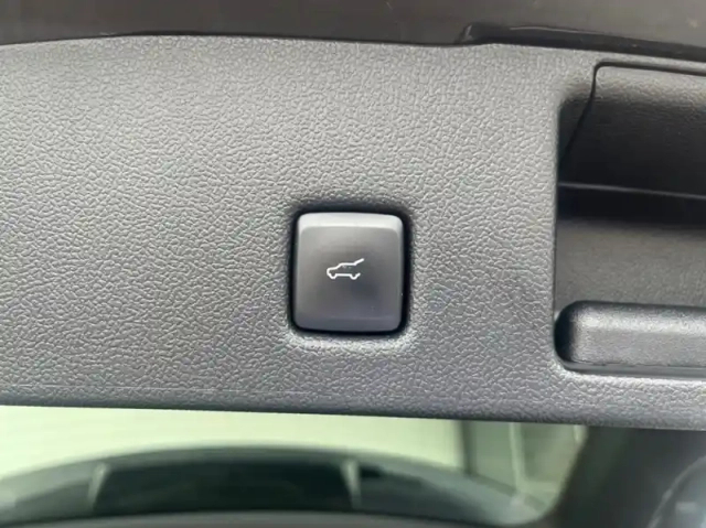 Ford Kuga 2.5 duratec 225ch phev vignale bva — photo 19