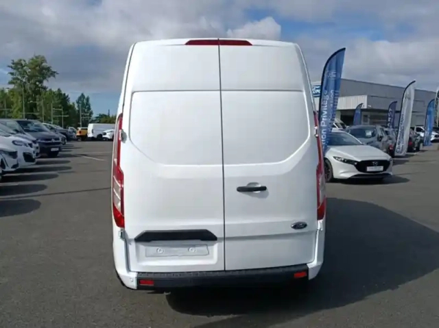 Ford Custom fg 300 l2h2 2.0 ecoblue 130 trend business 7cv — photo 25