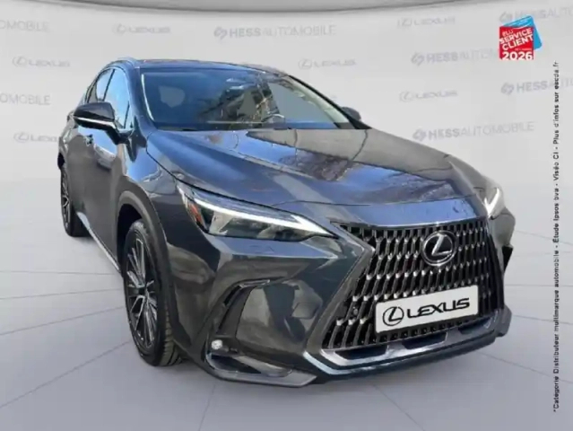 Lexus Nx 450h+ executive 4wd my25 — photo 3