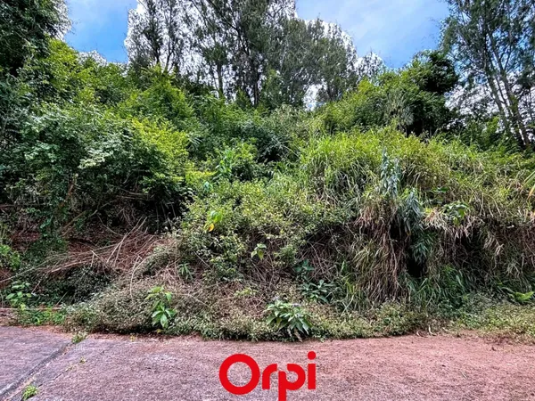 Terrain 4289 m²