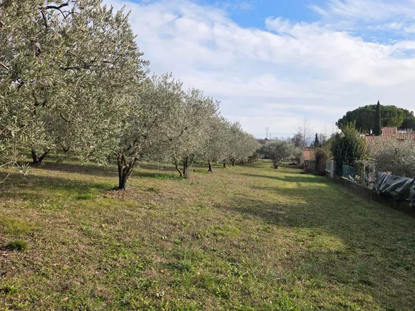 Terrain 1010 m²