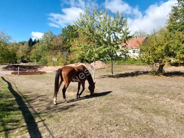 Terrain 803 m² LUTZELHOUSE