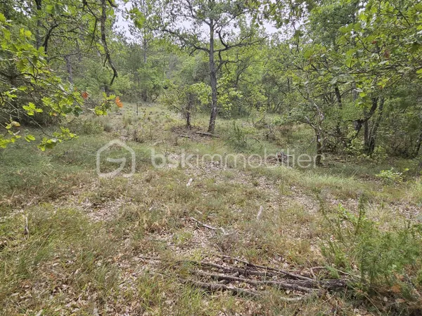 Terrain 75795 m²