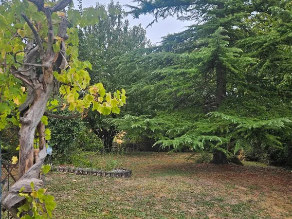 Maison sur la colline