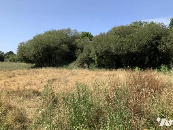 Terrain 651 m²
