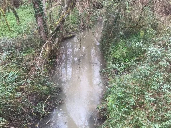 Terrain de loisir bordé par un ruisseau puis un lac...