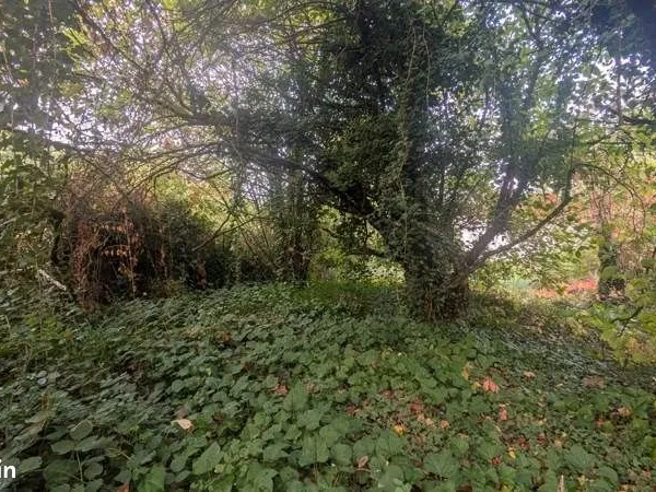 Terrain 408 m² Pressins