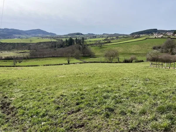 Terrain constructible pour lotissement