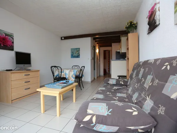Appartement T2 ,meublé ,climatisé d'octobre à juin