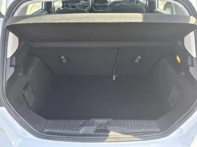 Ford Fiesta 1.0 flexifuel 95ch titanium business 5p — photo 5