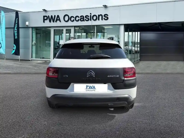 Citroën C4 cactus bluehdi 100 shine — photo 5
