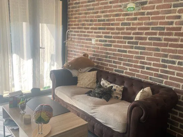 Appartement lumineux