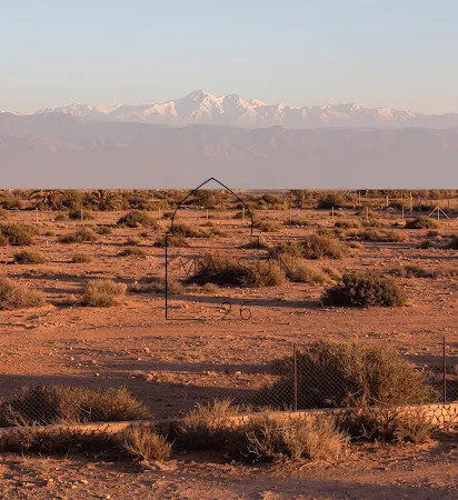 Terrain 60000 m²