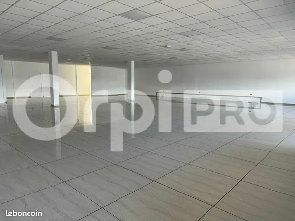 Bureau 480 m²