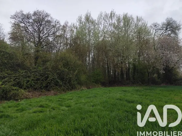 Terrain 7123 m²