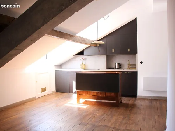 Bel Appartement 2 pièce rénové