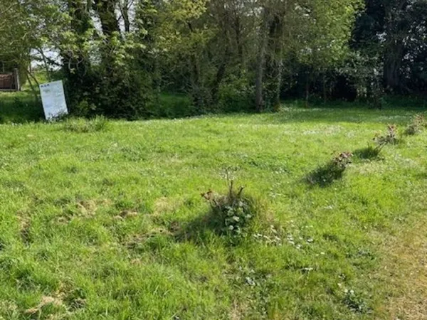 Terrain constructible