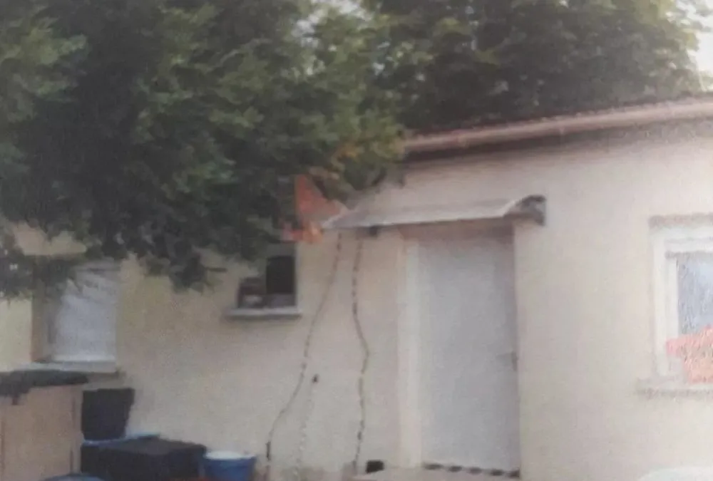 Photo 10