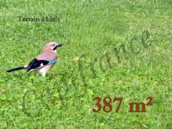 Terrain 387 m²
