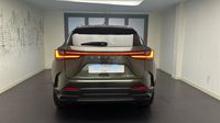 Lexus Nx 450h+ Luxe 4WD MY24 — photo 6