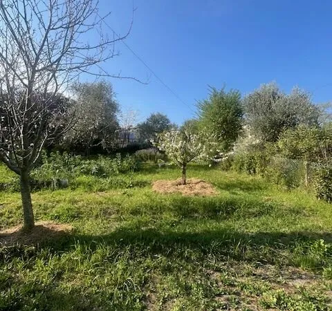 Superbe terrain à Biot dans un environnement de campagne au calme