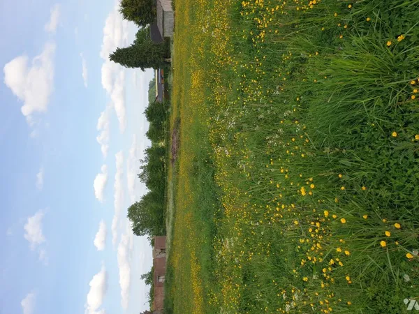 Terrain 1177 m²