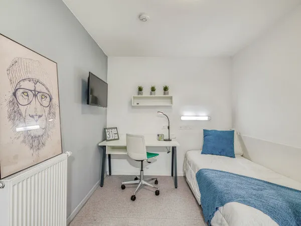 Appartement Location Grenoble 1p 15m² 599€