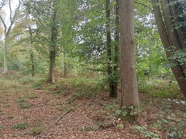 Terrain 80081 m² Montdidier