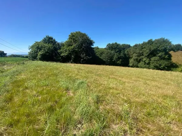 Terrain 2138 m²