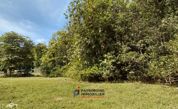 UN TERRAIN D'EXCEPTION DE 3356 M2 POUR DONNER VIE A VOTRE EC